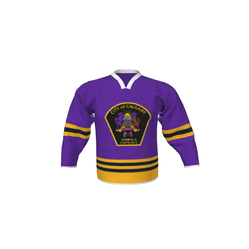 Hockey Chicago Style Sublimated Hockey Jersey. (x 16)